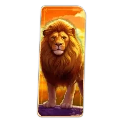 Lion
Safari